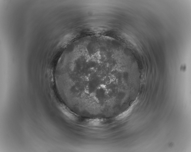 X0000094820182200711301638