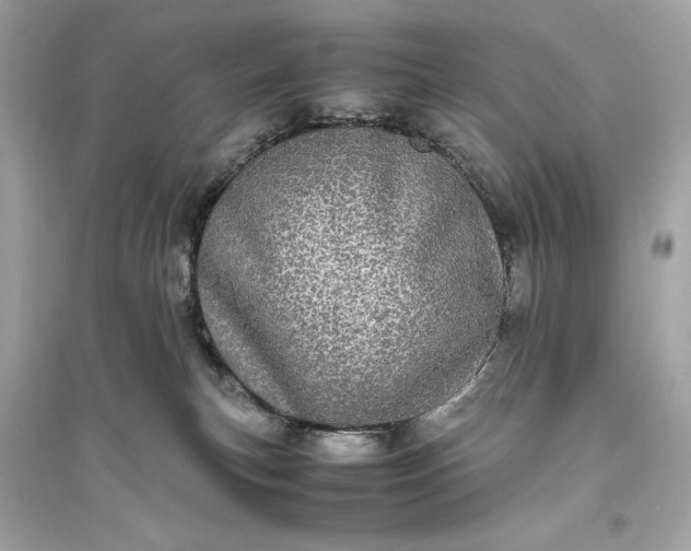 X0000094820183200711301638