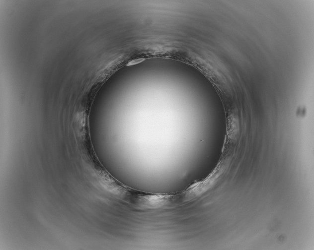 X0000094820184200711301638