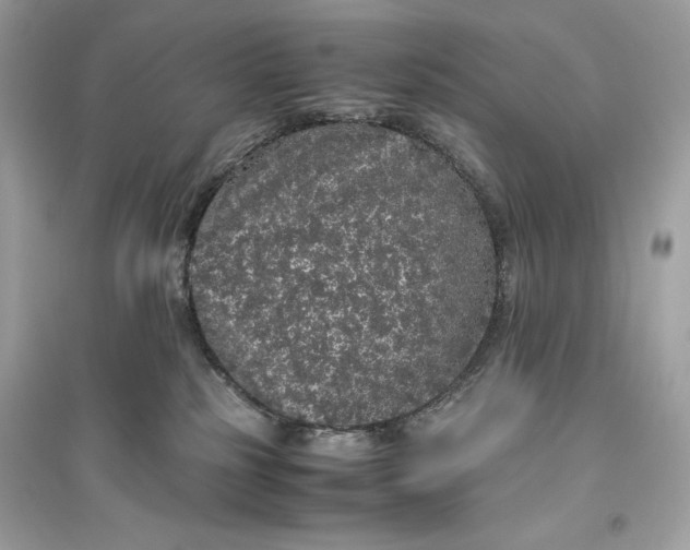 X0000094820185200711301638