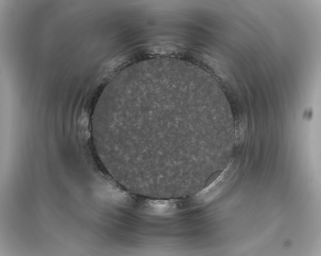 X0000094820187200711301638