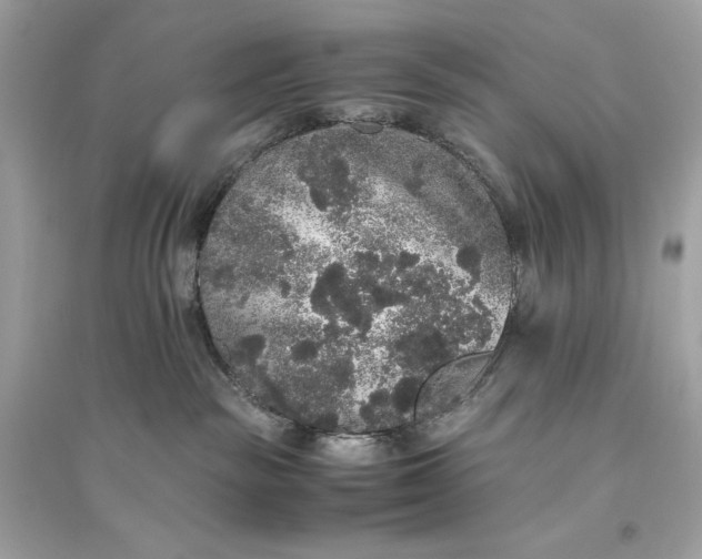 X0000094820189200711301638