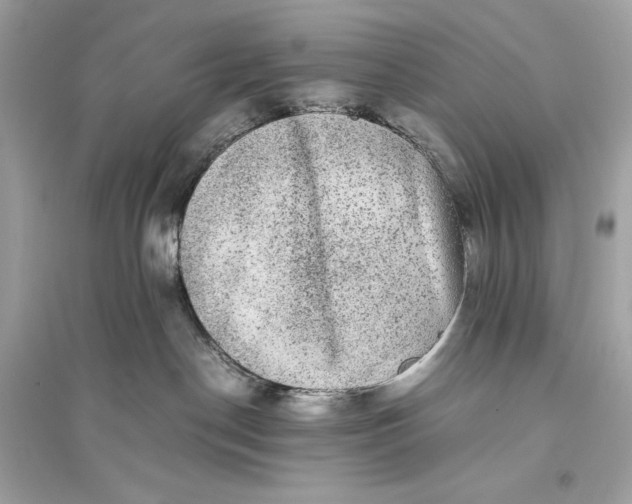 X0000094820190200711301638