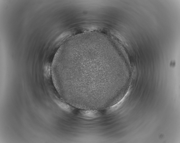 X0000094820191200711301638