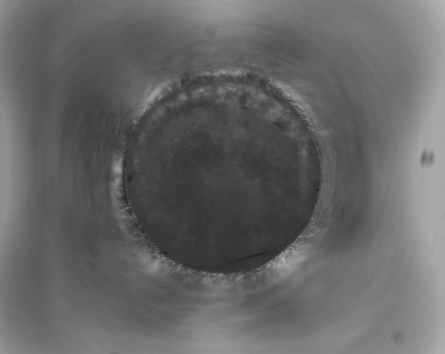 X0000094820192200711301638