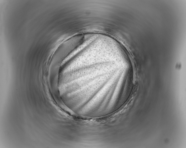 X0000094820193200711301637