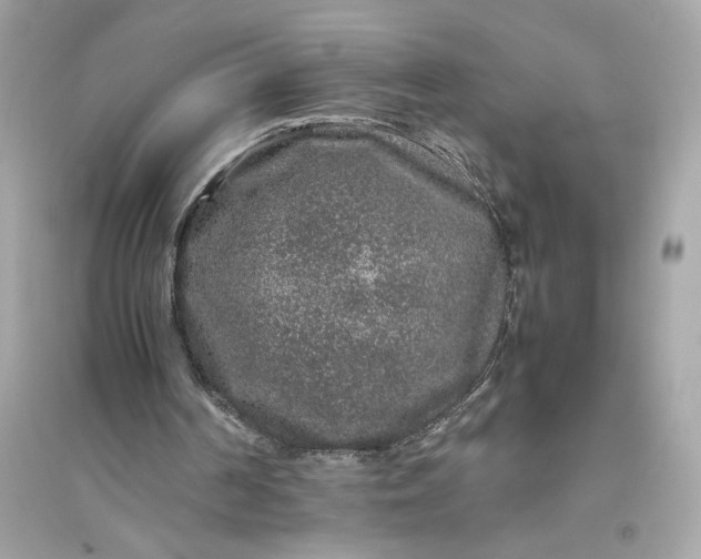 X0000094820194200711301637