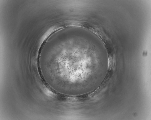 X0000094820195200711301637