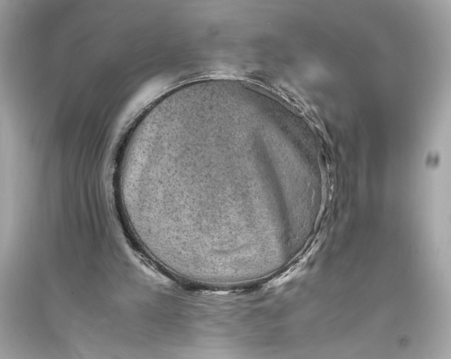 X0000094820197200711301637