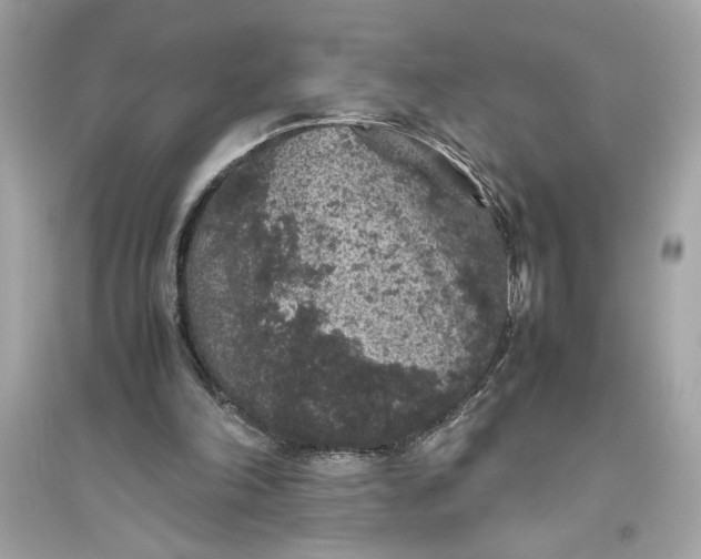 X0000094820198200711301637