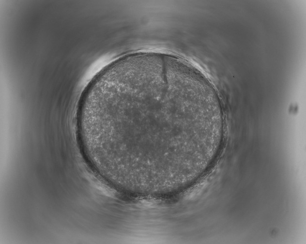 X0000094820199200711301637