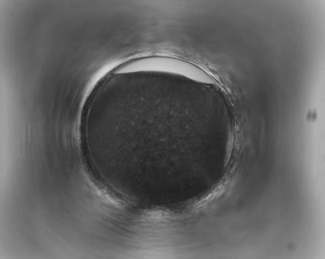 X0000094820200200711301637