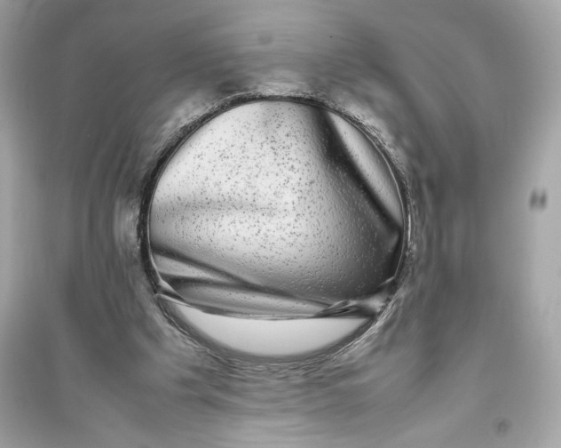 X0000094820201200711301637