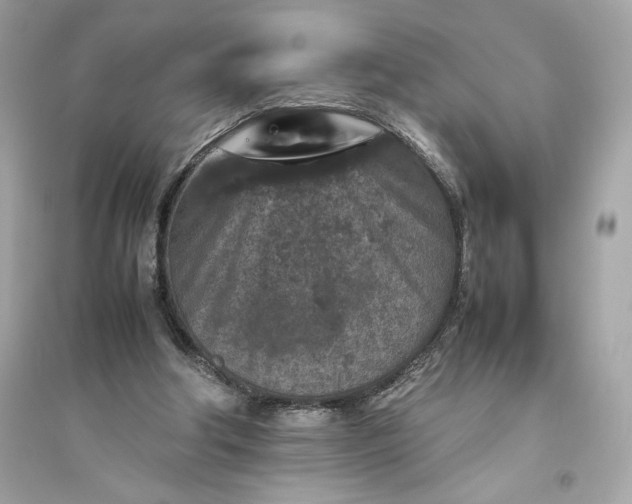 X0000094820202200711301637