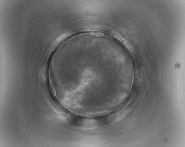 X0000094820203200711301637