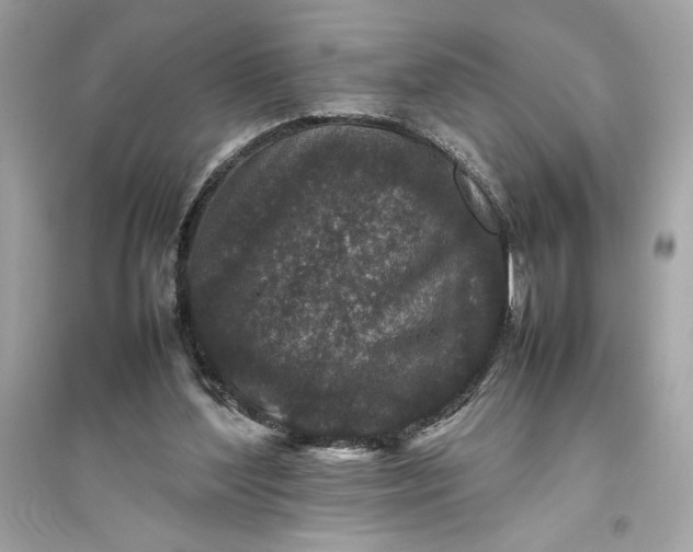 X0000094820204200711301637