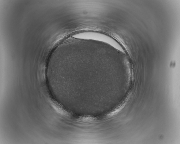 X0000094820205200711301637