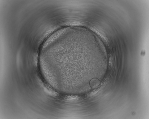 X0000094820206200711301637