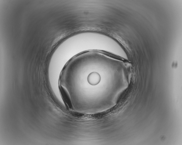 X0000094820207200711301637