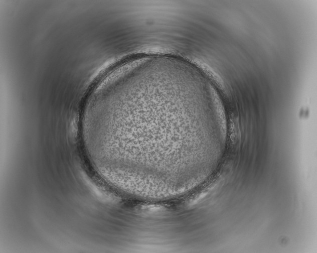 X0000094820208200711301637