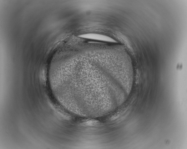 X0000094820210200711301637