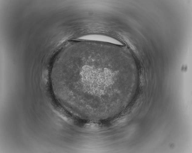 X0000094820211200711301637