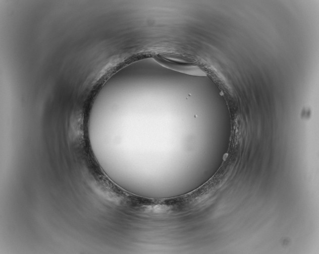 X0000094820212200711301637