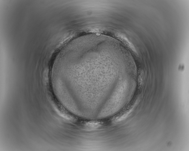 X0000094820213200711301637