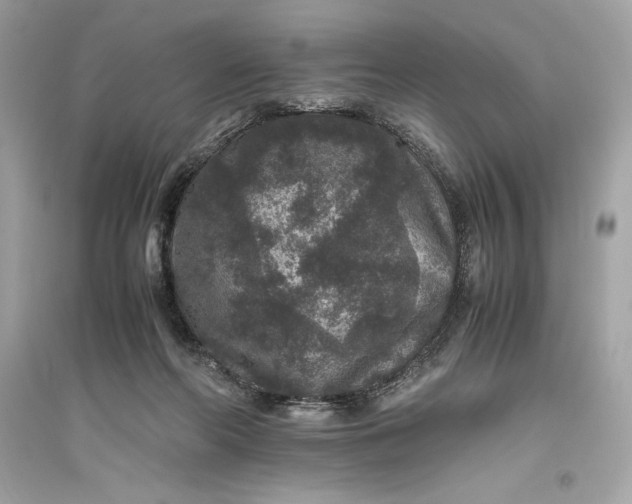 X0000094820214200711301637