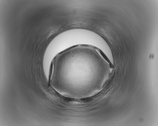 X0000094820215200711301637