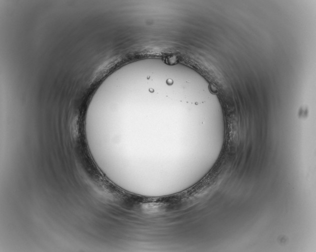 X0000094820216200711301637