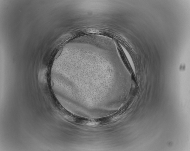 X0000094820217200711301637