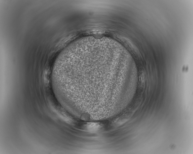 X0000094820218200711301637