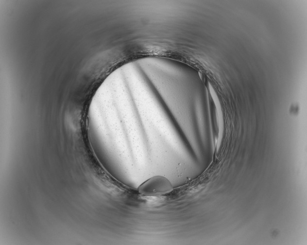 X0000094820221200711301637