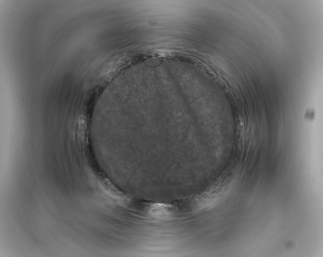 X0000094820222200711301637