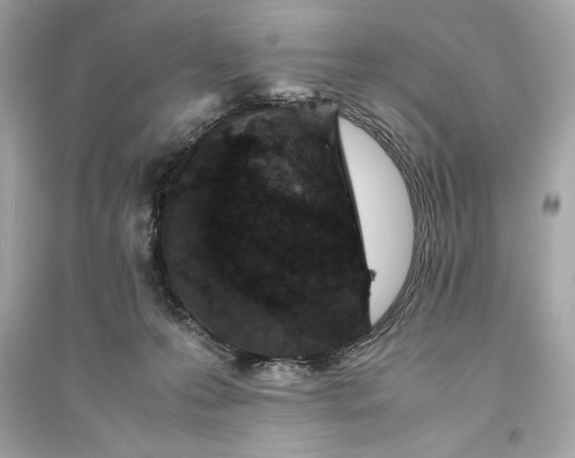 X0000094820223200711301637