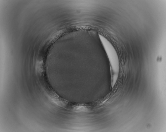 X0000094820224200711301637