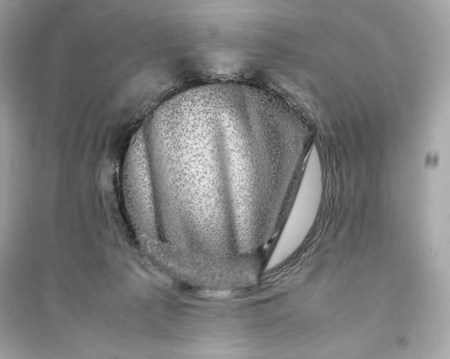 X0000094820225200711301637