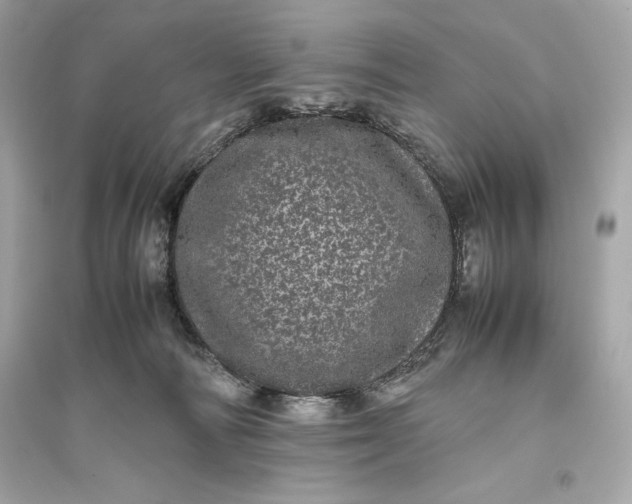 X0000094820226200711301637