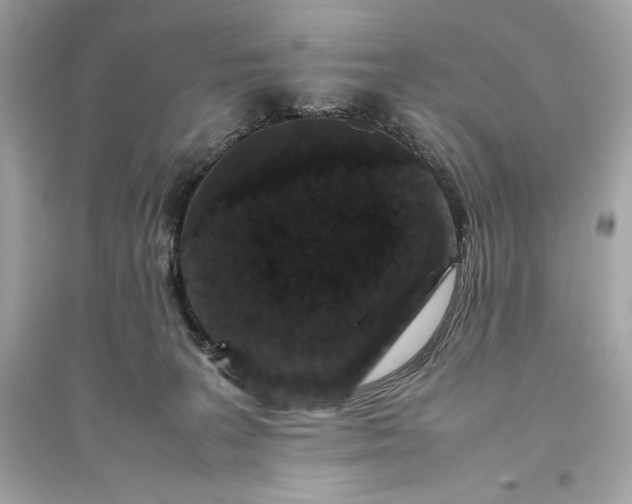 X0000094820227200711301637