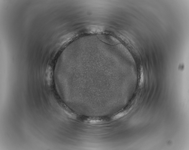 X0000094820228200711301637