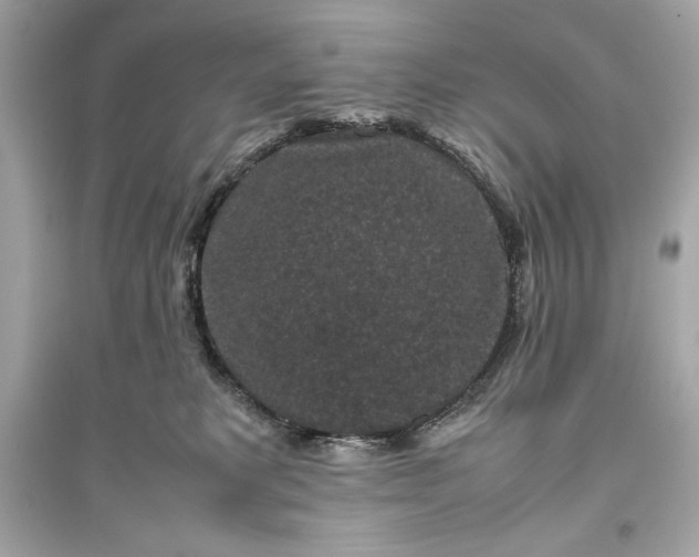 X0000094820229200711301637