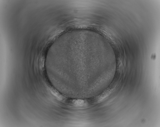 X0000094820230200711301637