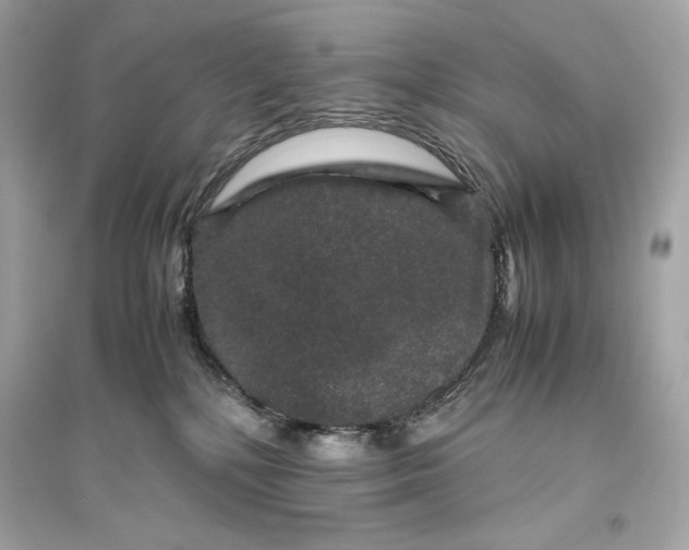 X0000094820232200711301637