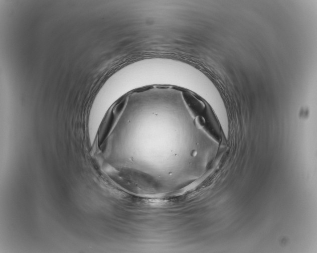 X0000094820233200711301637