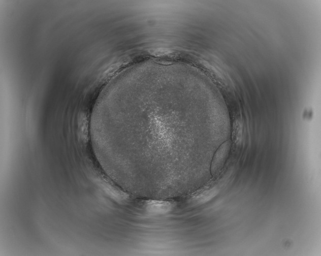 X0000094820234200711301637