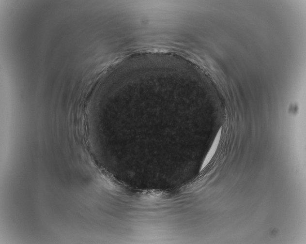 X0000094820235200711301637