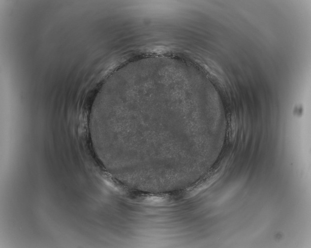 X0000094820236200711301636