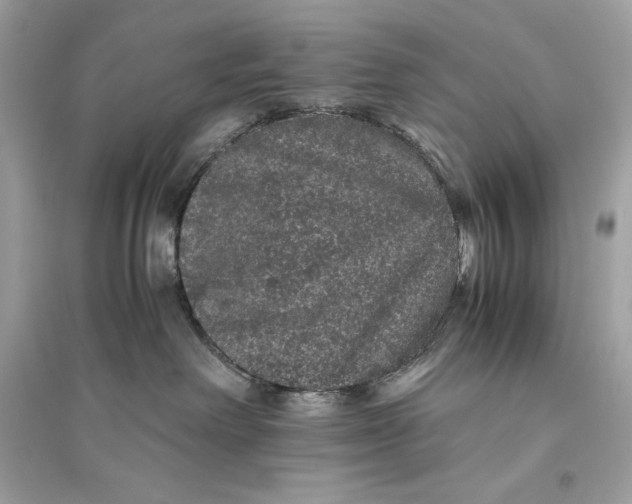 X0000094820238200711301636