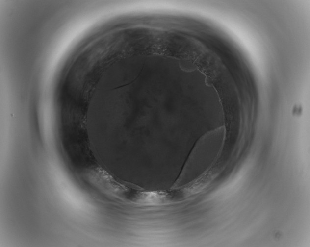 X0000094820239200711301636